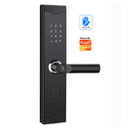 Port USB TUYA Awaryjny kierunek Push Pull Inteligentny zamek do drzwi domowych do drzwi wejściowych
