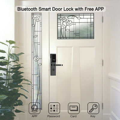 Stal nierdzewna 6068 Mortise TTlock App Controlled Door Lock z inteligentną klawiaturą